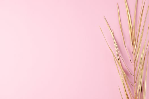 Tropical natural background with palm leaf on pink. Flat lay, copy space photo