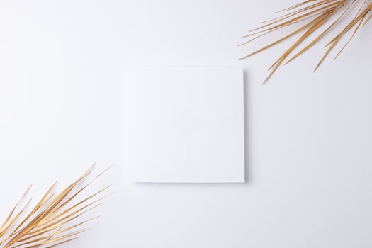 Minimal composition with palm leaf on white background. Flat lay, copy space photo