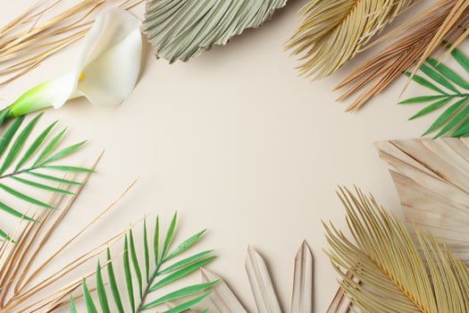 Tropical natural background with palm leaf on pastel beige. Flat lay, copy space photo