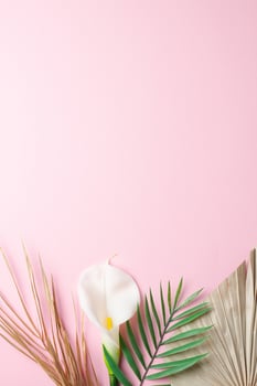 Tropical natural background with palm leaf and flower on pink. Flat lay, copy space photo