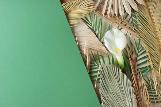 Tropical natural background with palm leaf and flower on green. Flat lay, copy space photo