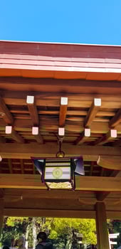 This is a photo of the interior of the lampshade which has a typical traditional Japanese style
