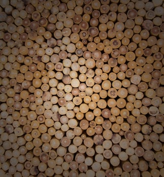 Wood logs background photo