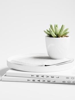 3d ceramic plate display podium with succulent on the books isolated on white background. 3d rendering of realistic presentation for product advertising. 3d minimal illustration. photo