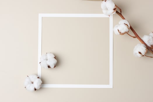 White frame with cotton flower on beige background. Flat lay, copy space. photo