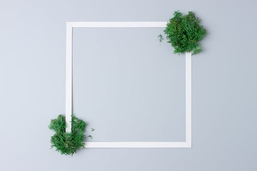 White frame with moss on grey background. Flat lay, copy space. photo