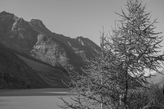 the swiss alps photo