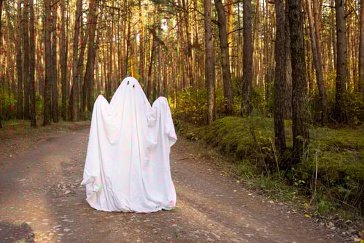 A child in sheets with cutout for eyes like a ghost costume in an autumn forest scares and terrifies. A kind little funny ghost. Halloween Party photo