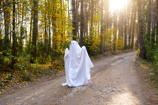 A child in sheets with cutout for eyes like a ghost costume in an autumn forest scares and terrifies. A kind little funny ghost. Halloween Party photo