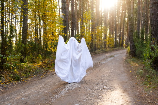 A child in sheets with cutout for eyes like a ghost costume in an autumn forest scares and terrifies. A kind little funny ghost. Halloween Party photo