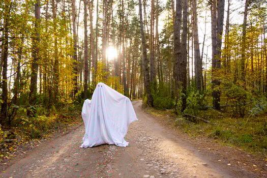 A child in sheets with cutout for eyes like a ghost costume in an autumn forest scares and terrifies. A kind little funny ghost. Halloween Party photo