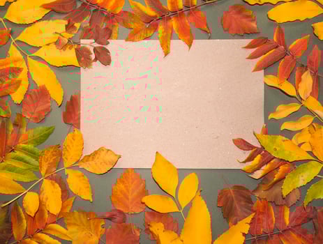 Autumn leaves with pine cones and berries and a sheet of parchment paper on a dark gray background from above. With space for text. Minimal Thanksgiving and Halloween Seasonal Design Art. Flat lay. photo