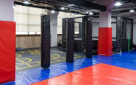 An octagonal kickboxing cage with boxing bags in the sports complex photo