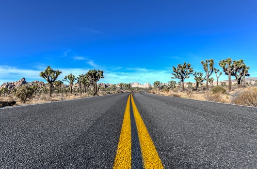 Beautiful landscape in Joshua Tree National Park in California. photo