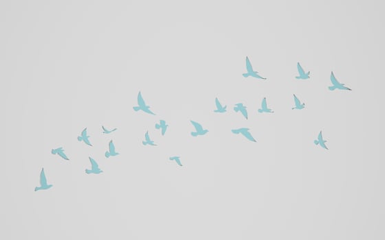3D rendering flying birds flock silhouettes on wall cut out background. pigeon outline. symbol of freedom. photo