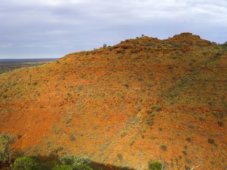 Panoramic view of Kings Canyon, Central Australia, Northern Territory, Australia photo