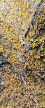 Panoramic view of late fall foliage in Smugglers Notch, Vermont. photo