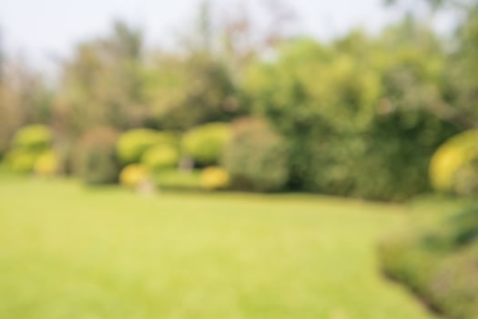Abstract blur park garden for background photo
