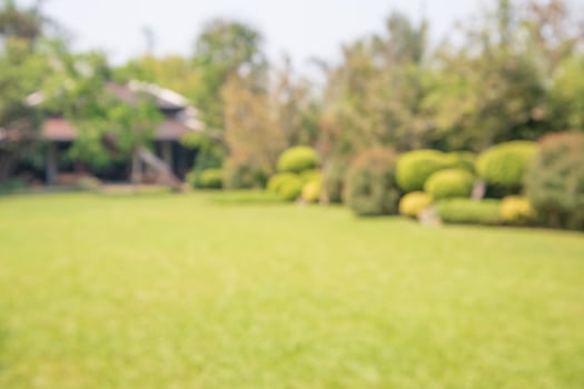 Abstract blur park garden for background photo