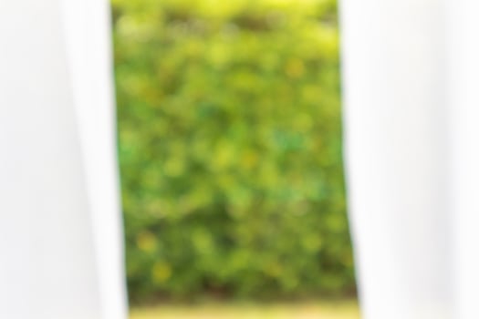Abstract blur curtain window with green garden background photo