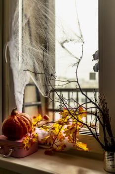 Halloween concept, decorated window with cobwebs, autumn yellow leaves, bare tree branches and a pumpkin on a dark background photo