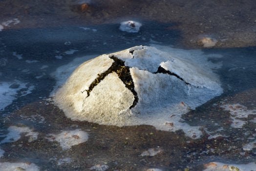 Rock cracking through the ice in Boosen in the Lofoten Islands, Norway in the winter. photo