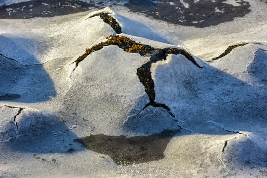 Rock cracking through the ice in Boosen in the Lofoten Islands, Norway in the winter. photo