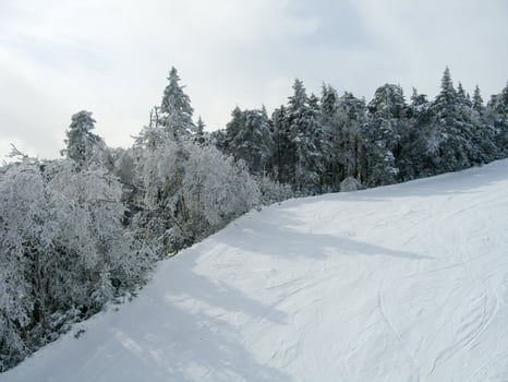 Snow covered trails in a winter ski resort in Vermont photo