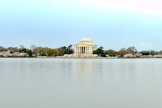 Cherry blossoms at the Tidal Basin and Jefferson Memorial during spring in Washington, DC. photo