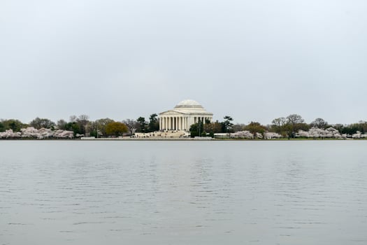 Cherry blossoms at the Tidal Basin and Jefferson Memorial during spring in Washington, DC. photo