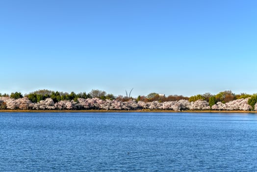 Air Force Monument and Cherry blossoms at the Tidal Basin during spring in Washington, DC. photo