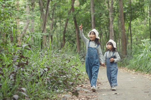 Children are heading to the family campsite in the forest Walk along the tourist route. Camping road. Family travel vacation concept. photo
