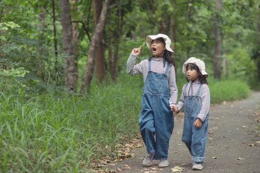 Children are heading to the family campsite in the forest Walk along the tourist route. Camping road. Family travel vacation concept. photo