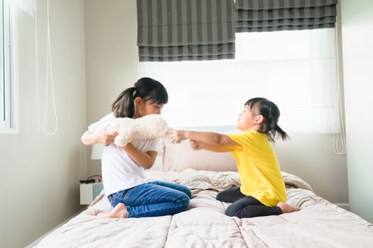 two little girl fighting over bear photo