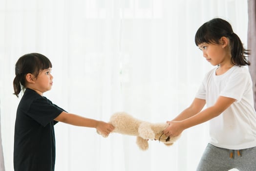 two little girl fighting over bear photo
