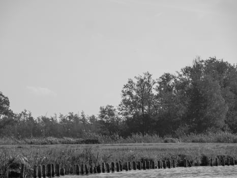 in the netherlands photo