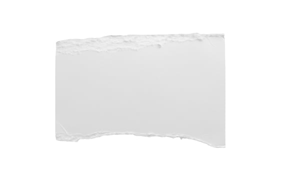 White ripped paper torn edges strips isolated on white background photo