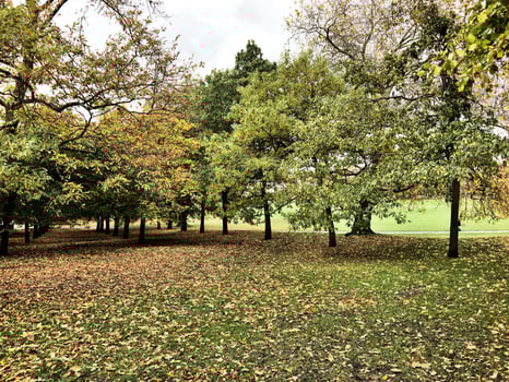 A view of Greenwich in London photo