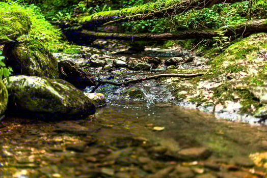 2022 07 10 Lusiana river photo