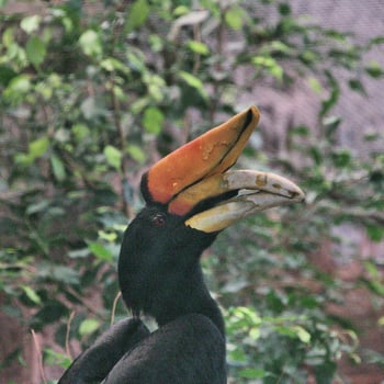 A view of a Bird photo