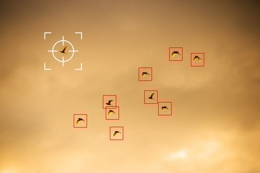 The leading bird is the focus of all the birds flying in the orange sky at sunset. Correct focus leads to targeted success. photo