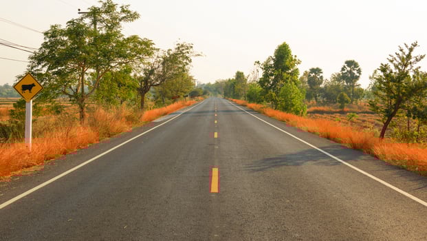 Highway, asphalt road. photo