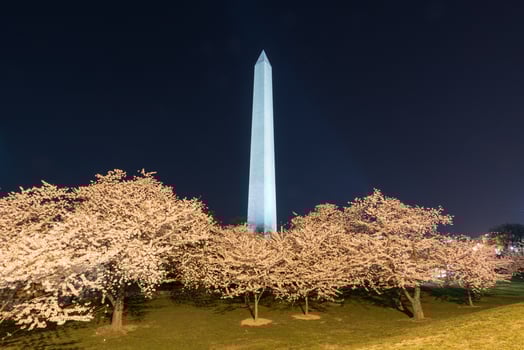 Washington Monument in Washington D.C., USA photo