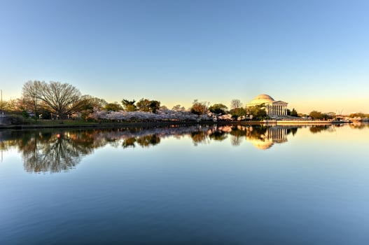 Jefferson Memorial - Washington D.C. photo