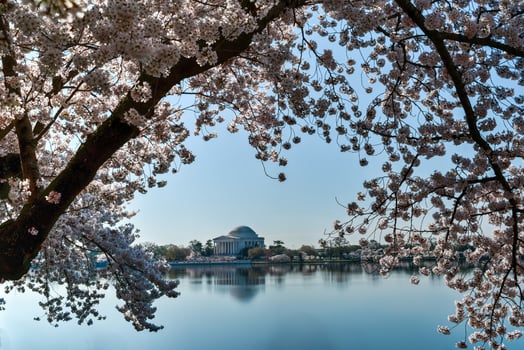 Jefferson Memorial - Washington D.C. photo