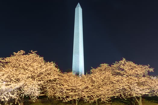 Washington Monument at night photo