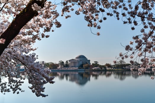 Jefferson Memorial - Washington D.C. photo