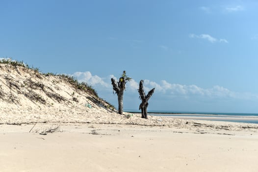 Magaruque Island - Mozambique photo