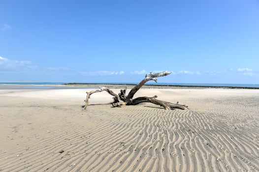 Magaruque Island - Mozambique photo