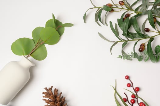 White background studio with leaf , packing and skincare beauty concept photo